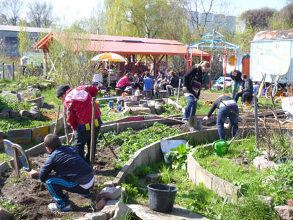 stadtmgaertnernmitnachbarschaft stadtmgaertnernmitnachbarschaft